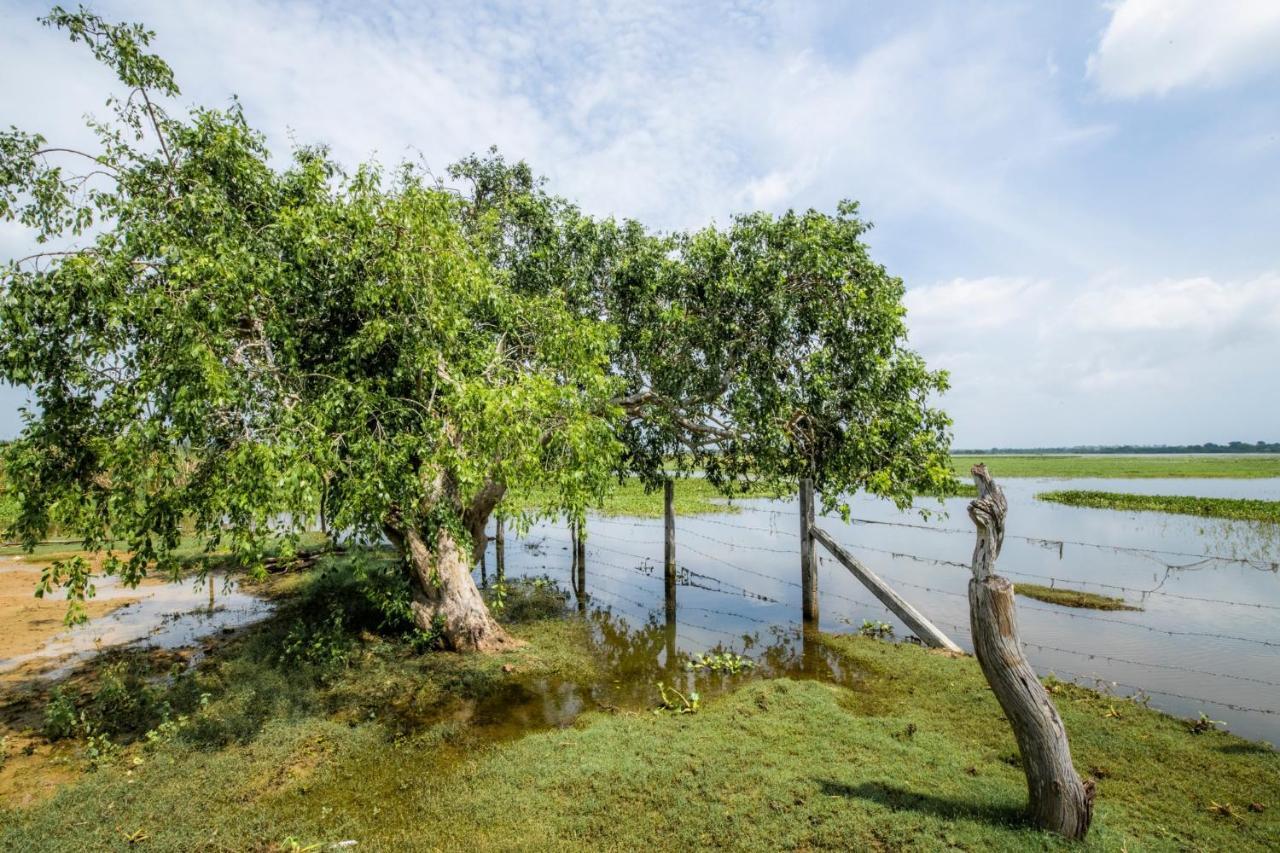 Chaarya Lake Ξενοδοχείο Tissamaharama Εξωτερικό φωτογραφία